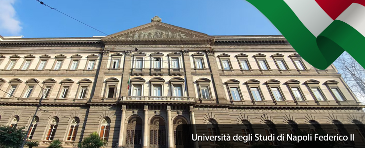 University of Naples Federico II